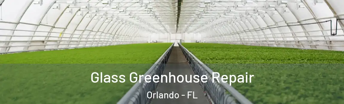  Glass Greenhouse Repair Orlando - FL