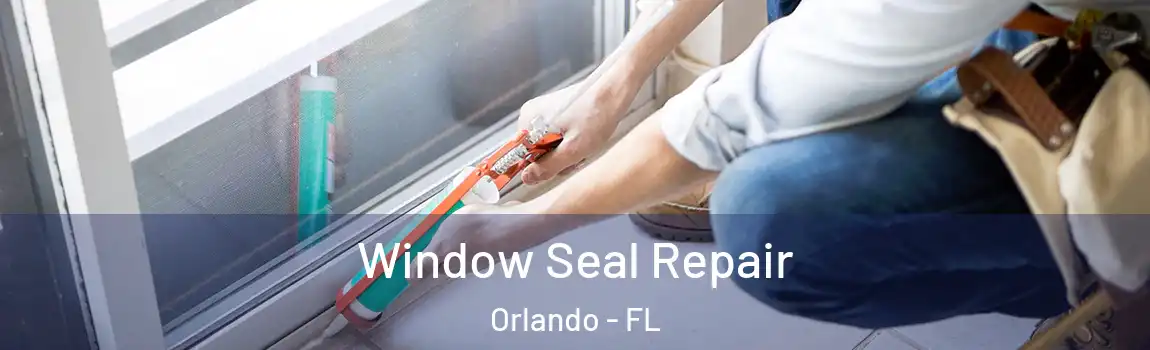  Window Seal Repair Orlando - FL